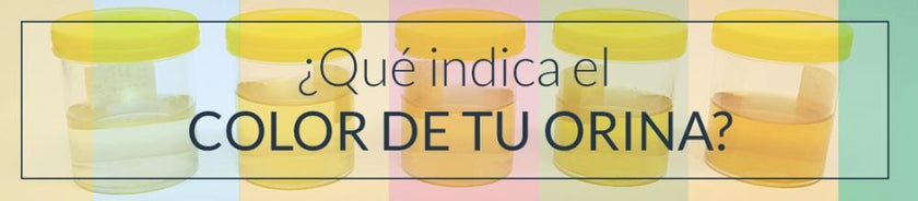¿Qué indica el color de tu orina? – Devicare Spain