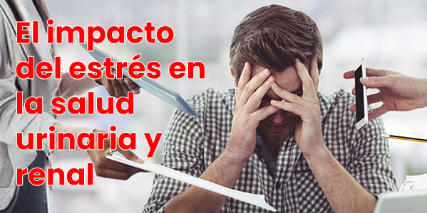 El impacto del estrés en la salud urinaria y renal
